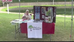 4th Annual Wheeling Arts Fest Brings Artists and Community Together