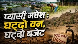पानीको हाहाकार तर वनमा लगानी न्यून: सुक्खा खडेरी र जलसङ्कटकै बीच वनकै बजेटमा कैंची !