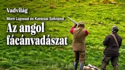 Vadvilág: Angol fácánvadászat Móró Lajossal és Kanizsai Szilviával