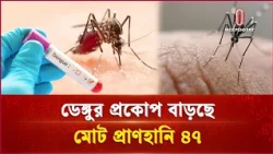 ডেঙ্গু আক্রান্ত হয়ে একদিনে ৩ জনের মৃ/ত্যু, মোট প্রা/ণ/হানি ৪৭ | Independent TV