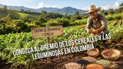 Meet the Cereal and Legume Industry Association in Colombia - TvAgro by Juan Gonzalo Angel