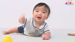 [Baby Academy #6] Catch-up Stream | BS12