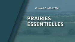 Prairies essentielles