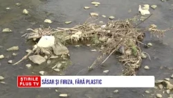 SĂSAR ȘI FIRIZA, FĂRĂ PLASTIC