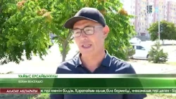 Айлант ағашын егуді тоқтату қажет - қоғам белсендісі