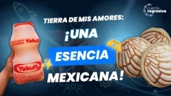 LAND OF MY LOVES: CREATIVITY THAT CAN BE EMBRACED 🎨🫂