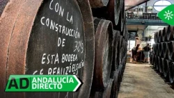 Andalucía Directo | El renacer de una bodega con sabor añejo