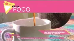 In Focus: Scientists discover that smelling coffee rewires your brain - Vitrina Hoy