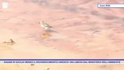 SICILIAN SALT PANS TOWARD UNESCO RECOGNITION: GREEN LIGHT FROM THE MINISTRY OF ENVIRONMENT