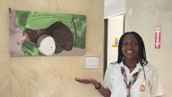 Parliamentary Update - Rotunda Gallery - Still: Life in the Caribbean
