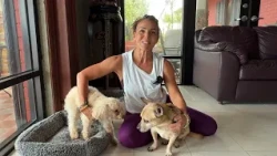 My Pet Story: Clare and her crew of four-legged furbabies