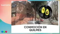 AN AVOCADO fell from a tree and KILLED A 12-day-old BABY #BuenTelefe