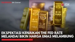 Ekspektasi Kenaikan The Fed Rate Melandai Bikin Harga Emas Melambung | TOP 5