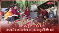 From Riverbank Plant to Livelihood for Can Tho Women | CT-TDT