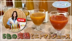 Ibaraki Picks: "5-Color Ripe Cherry Tomato Juice (Joso City)" [Starring: Yui Yokoyama]