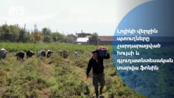 Հույսը կտրելով եկամուտից, գյուղացին վնասներն է հաշվում