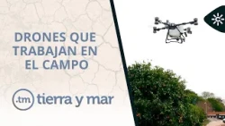 Land and Sea | The drones revolutionizing farm work