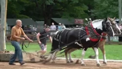 Haddam Neck Fair returns to Connecticut for 114th time