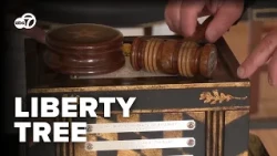 Baltimore's Liberty Tree still lives on through remnants of its roots