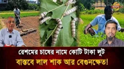 'Ghostly interference at the Silk Board': Silk farming on paper, jute fields in reality—major fra...