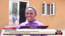 Women Farmers Take Centre Stage in Nigeria’s Food Security Push