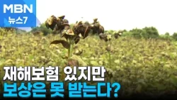 Drought-Damaged Crops Left in Insurance Blind Spot [MBN News7]