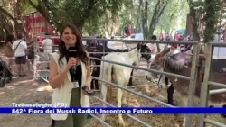 Trebaseleghe (PD). 842^ Fiera dei Mussi: Radici, Incontro e Futuro 07.09.2026