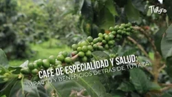 Specialty Coffee and Health: Impact and Benefits Behind Your Cup - TvAgro by Juan Gonzalo Angel