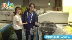 ハマナビ　次回予告（7月25日放送）