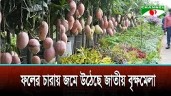 বৃক্ষমেলায় ছাদকৃষি উপযোগী চারা ও ছাদকৃষি সরঞ্জাম বিক্রি বেড়েছে