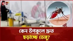 কেন উপকূলে দ্রুত ছড়াচ্ছে ডেঙ্গু? | Dengue Update | Ekattor TV