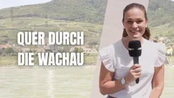 Local Experience Wachau: Danube Cruise and Wachau Railway