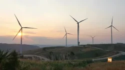 Wind power, another "NO"