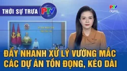 Thời sự Phú Thọ trưa 28/7/2026 | Đẩy nhanh xử lý vướng mắc các dự án tồn đọng, kéo dài