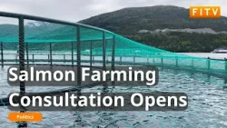 Falkland Islands Salmon Farming Consultation Opens