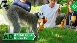 AD | Polos de insectos o de carne con sangre: así viven el verano los animales en Fuengirola