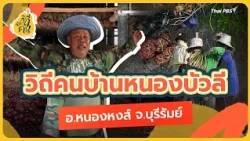 The Way of Life in Ban Nong Bua Li, Nong Hong District, Buriram Province | Way of Life Series