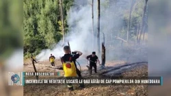 Wildfires keep Hunedoara firefighters busy