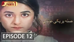 Sila Yarigi Ghunde | Episode 12 | HUM Pashto 1