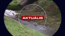 Indulhat a patakmeder kitakarítása – Aktuális 2026. 08. 17.