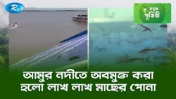 আমুর নদীতে অবমুক্ত করা হলো লাখ লাখ মাছের পোনা | Sobuj Prithibe | Rtv