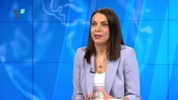 Даниловски во Телма интервју за епидемијата на западнонилска треска и начини за заштита од комарците
