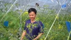 Developing collective economy to increase farmers' income