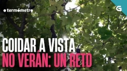 COIDAR a VISTA no VERÁN: UN RETO | O TERMÓMETRO