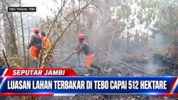 BURNED LAND AREA IN TEBO REACHES 512 HECTARES