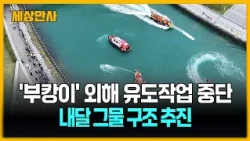 '부캉이' 먼바다 유도 작업 중단…다음 달 그물 구조 재추진 [세상만사] #부캉이 #유도작업중단 #그물구조재추진
