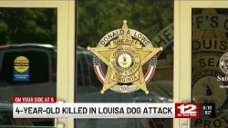 4-year-old killed in dog attack
