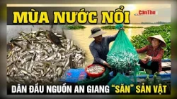 Floating season: An Giang headwater residents head to the fields to "hunt" for bounty | Can Tho