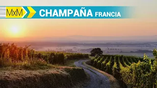 Madrileños in the World: French Champagne
