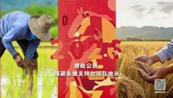 馬上添鴻運~減碳永續台灣米禮盒｜以好米迎好年